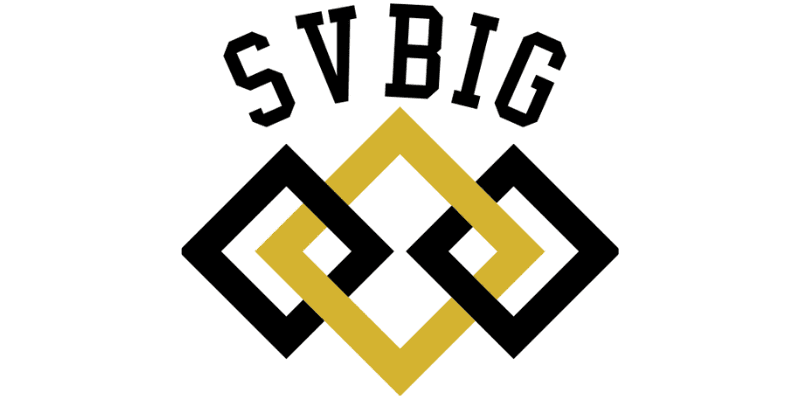 SVBig x Startuped preview